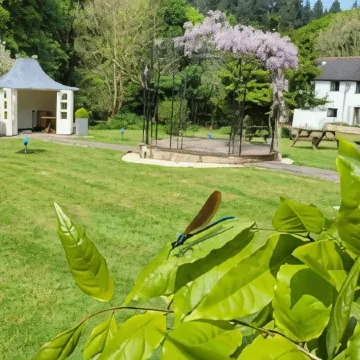 Fox & Hounds Country Hotel