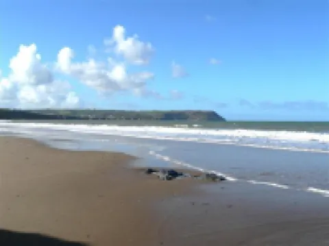 ステーブル コテージ カーディガン