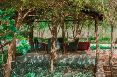 Mkomazi Hotels and Campsite Hotels in 