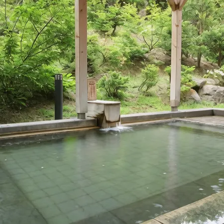Hotel Towadaso