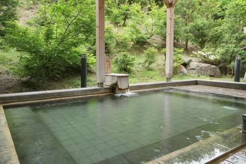 Hotel Towadaso - acceptant les animaux