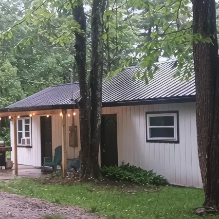 The Reel Cottage Leesville Lake No Stairs, Firepit, Fireplace  New Wifi 6/3