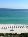 Monte Carlo by Miami Ambassadors