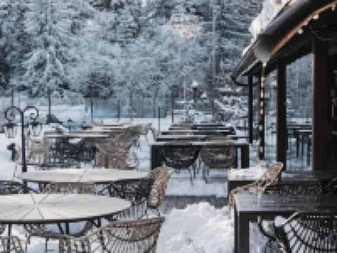 Villa Yagoda Hotels in Samokov