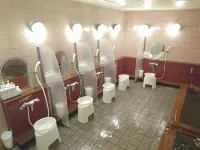 Atsugi Capsule Hotel Hotels in Atsugi