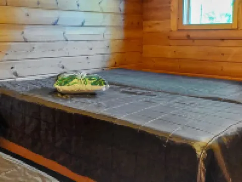 Petäjälahti Hotels in Petajavesi