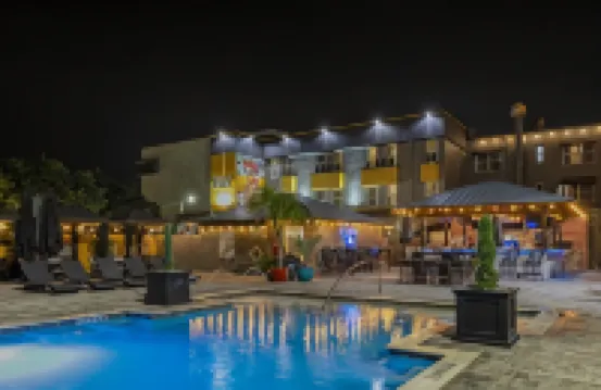 Avalon Hotel Downtown St. Petersburg