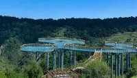 Fengcheng International Hotel (Wolong Villa) - Mountain view