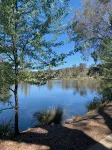 Close to town in walking distance to cafes, restaurants and Lake Alexandra - Apartments