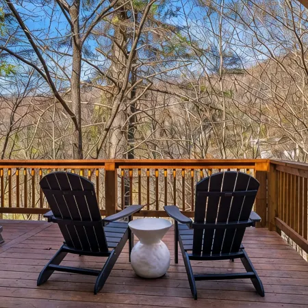 Cozy cabin in awesome Asheville, Hot tub, Fire pit, Dog friendly