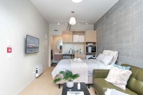Petone City Studio with Balcony