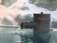 Kusatsu Onsen Hotel Village - Hot Springs