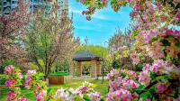 山萌海誓海景公寓（東戴河山海同灣店） - 公寓