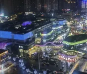 東籬下民宿（自貢華商國際城店）