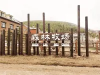 在水一方酒店（阿爾山旅遊度假區店） - 山景