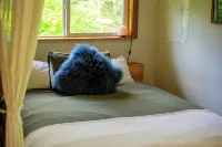 Cozy Forest Cabin in the Beautiful Sayward Valley