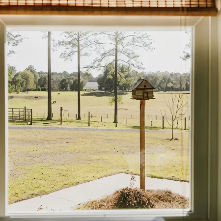 Farm stay with gorgeous view! Come stay at the Bird House on Nutbird Hill Farm.
