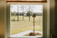 Farm stay with gorgeous view! Come stay at the Bird House on Nutbird Hill Farm. - Boutique