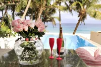 Rose Nest at the beach Puerto Rico - Pool