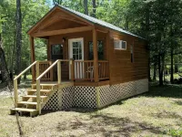 Serenity Springs On The Suwannee Cabin #1 - Homestays