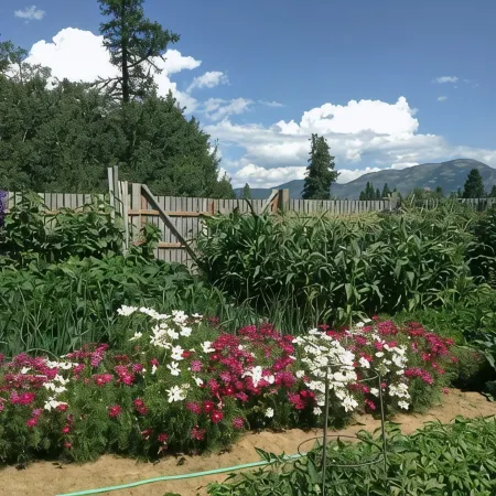 Stage Road Estate. Peaceful executive home close to Glacier National Park.