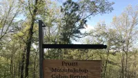 Pruitt Mountaintop Cabin Rental - Wifi