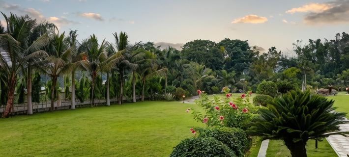 The Greenwood - Tezpur Hotels in Tezpur