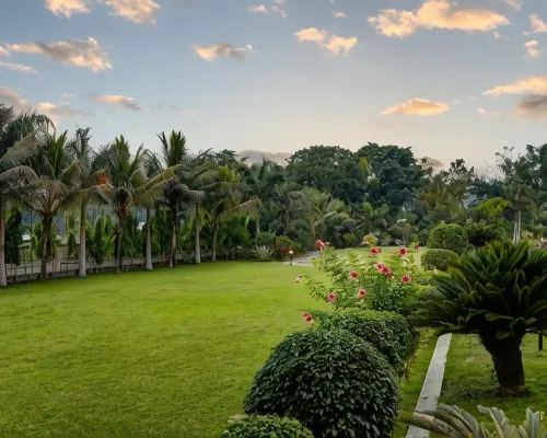 The Greenwood - Tezpur Hotels in Sonitpur