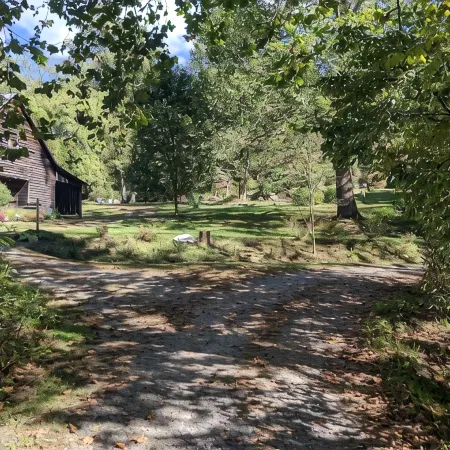 Creek-side cottage in secluded mountain setting, centrally located, easy access.