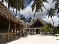 Blue Reef Sport & Fishing Lodge and Bungalows - Beach