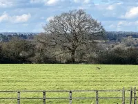 The Lodge, South Cotswolds, comfortable contemporary rural home, views, parking
