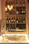 卡勒拉賈藝術飯店