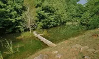 Private apartment in the mountains - 3-Star