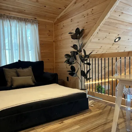 Modern & Cozy Lakefront Cabin: Rustic Charm and Serene views Hotels in Barnstead
