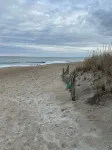 Spacious and Homey 6-Bed Beach House in Salisbury