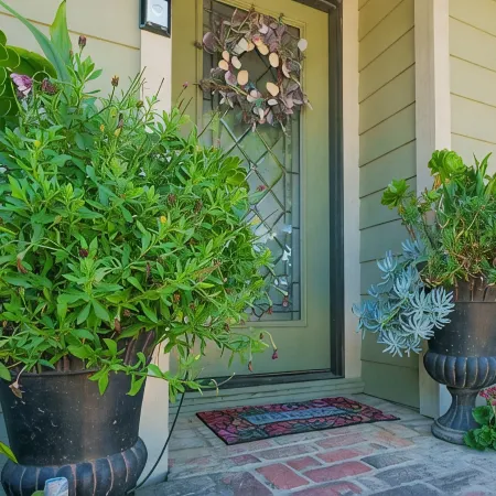 Wine Down Cottage in the Heart of Cambria