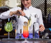 Vitalclass Lanzarote Resort - bar
