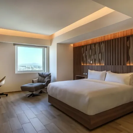 Hotel Radisson Puebla Angelopolis