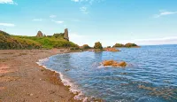 Turnberry Apartments - Pet friendly