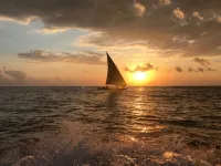 bahari pori resort - ที่มีบาร์