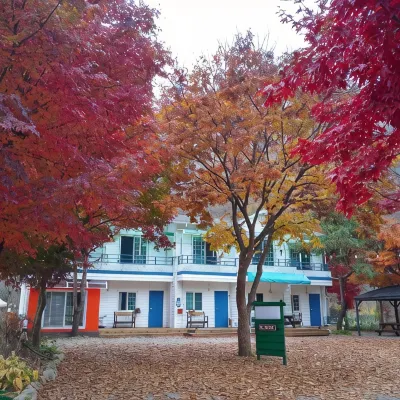 Chuncheon Forest Green Pension (Nami Island, Ski Resort, Rail Bike) Hotel dekat Jade Garden