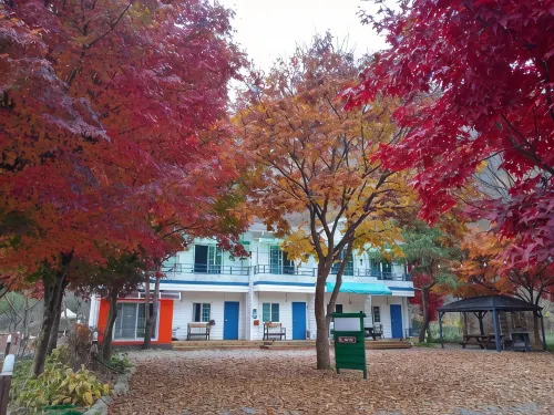 Chuncheon Forest Green Pension (Nami Island, Ski Resort, Rail Bike) - مبيت وإفطار