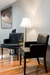 Newly remodeled garden-level suite near downtown in Cheesman Park neighborhood. - Apartments