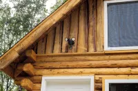 Charming Cabin Near Hatcher Pass