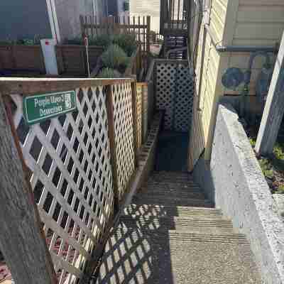 Purple Moon #3 - Beautiful Beachfront home with private access to the beach Hotel Exterior