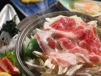 Maruyama Kosen Ryokan - Dağ Manzaralı