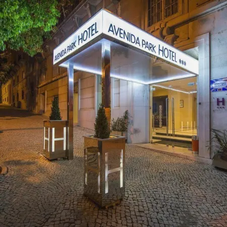 Hotel Avenida Park