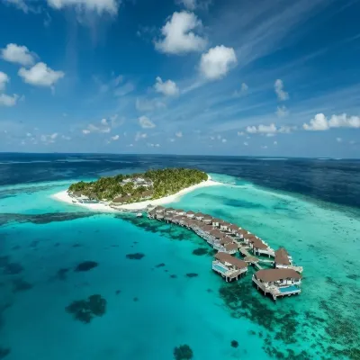 Avani+ Fares Maldives Resort - bar