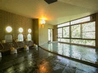 Sanyanagitei Ryokan - Hot Springs