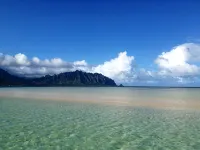 Tropical Gardens,4 Bdr, Large Yard, Pool, 5 min Walk to Beach,Koi Pond, Kailua - プライペートプール